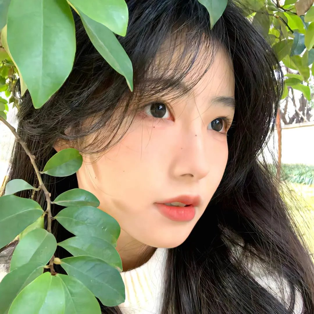 母女菀
